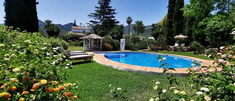 Outdoor pool, pool loungers