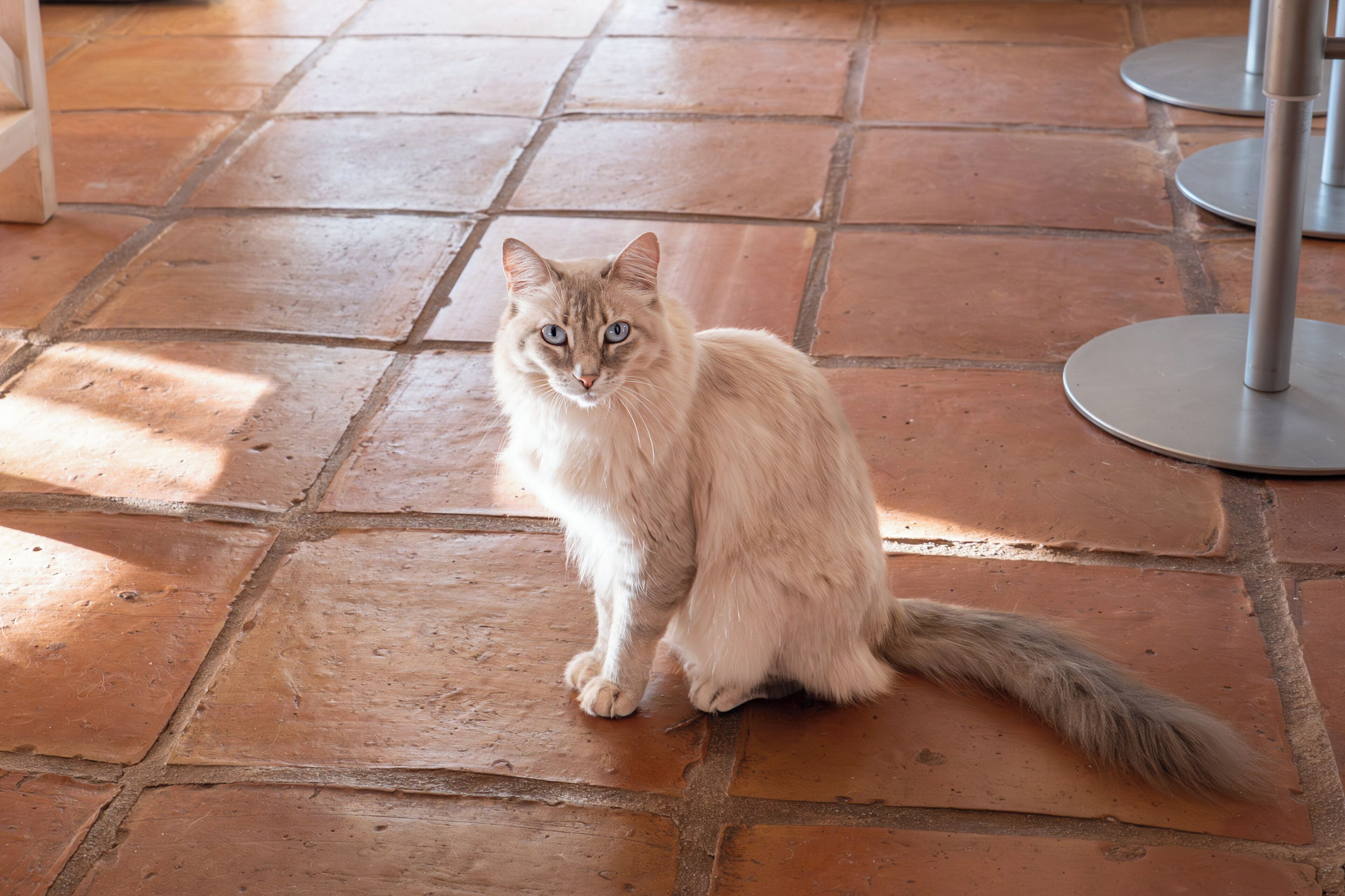 Foto - Roca Verde, Boutique Bed & Breakfast - Adults only