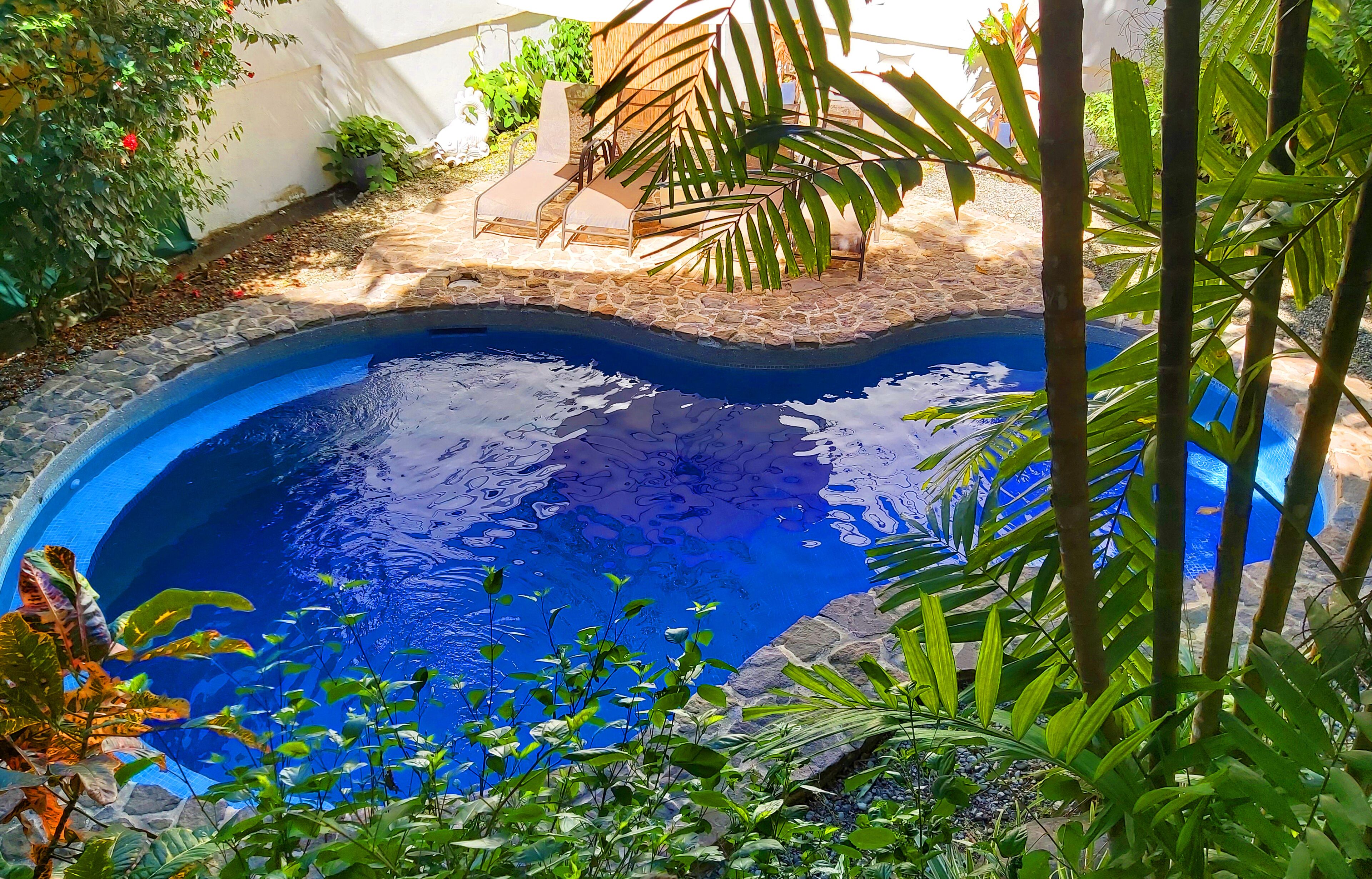 Una piscina rodeada de exuberante vegetación y un sendero de piedra.