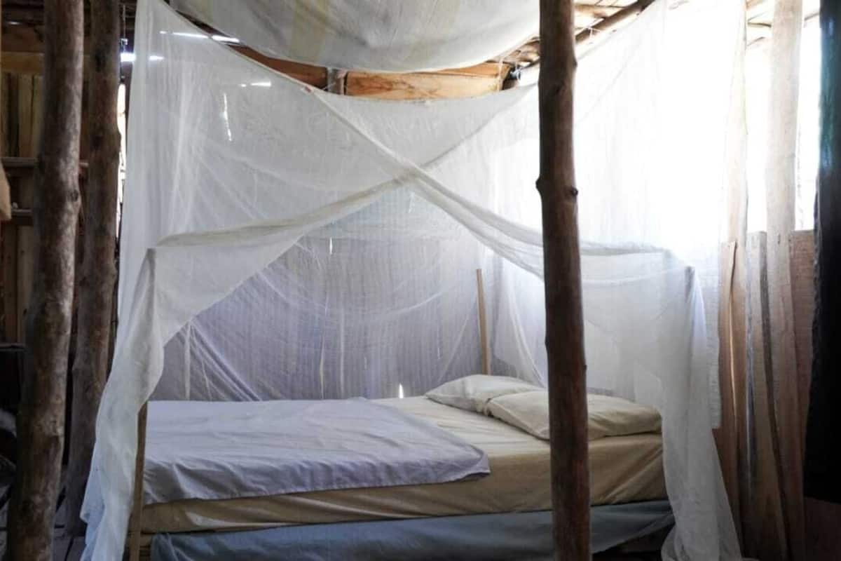Una cama individual con mosquitero en una habitación rústica de paredes de madera y techo inclinado.