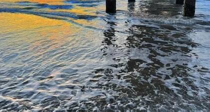 Ă LA PLAGE: Condo VUE SUR L'OCĂAN, rĂ©novĂ©, 2 piscines, bain Ă remous et plus ..