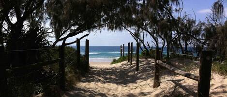 Beach nearby, sun-loungers, beach towels