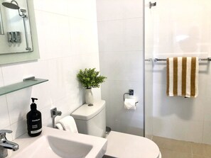 Shower, hair dryer, towels, soap