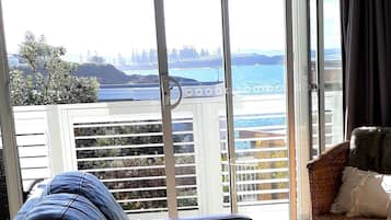 Smart TV, Netflix, streaming services