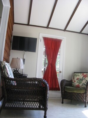 TV, DVD player, books, video library