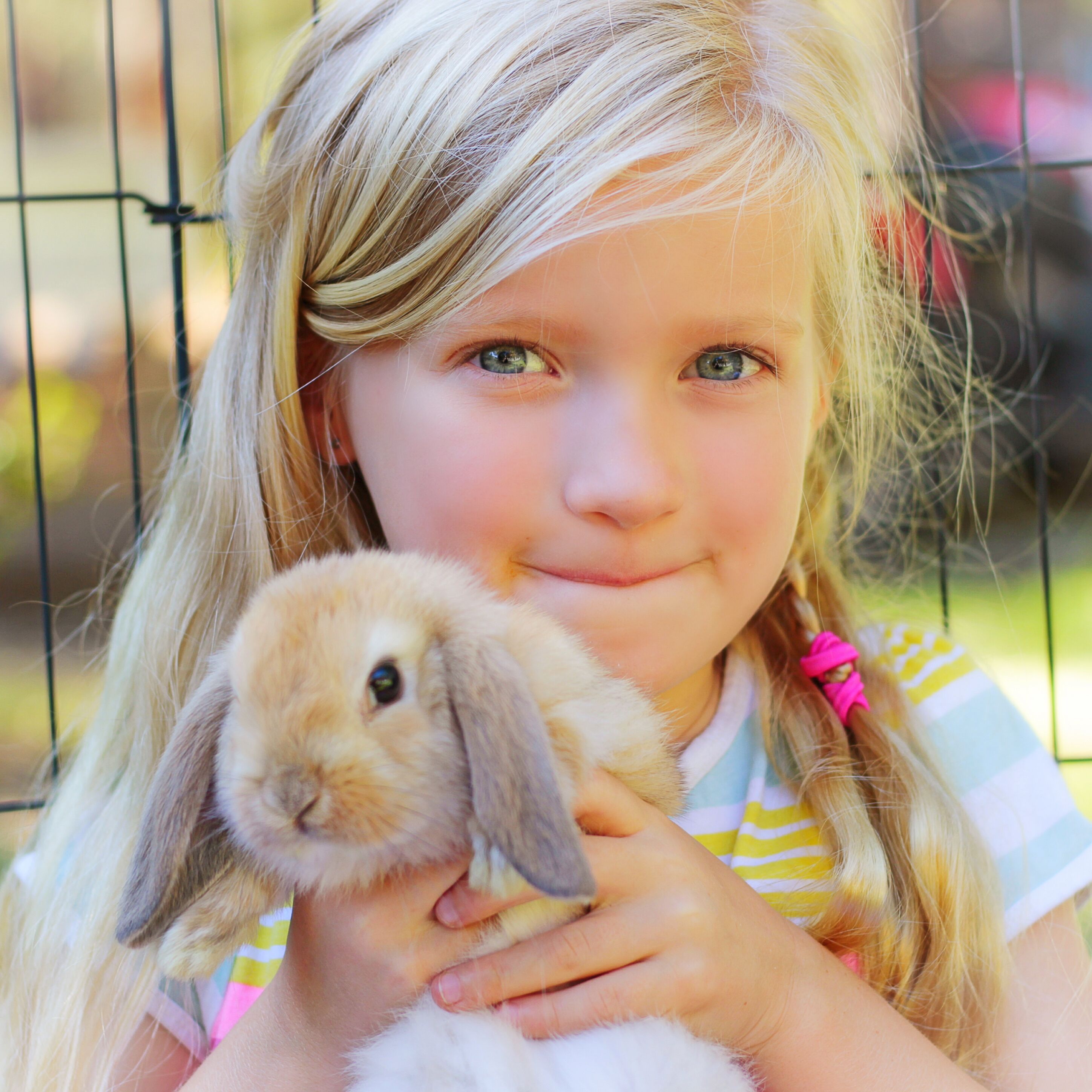 GUMLEAF COTTAGE FARMSTAY - Free daily Animal feeding - close to Perth! — image 7