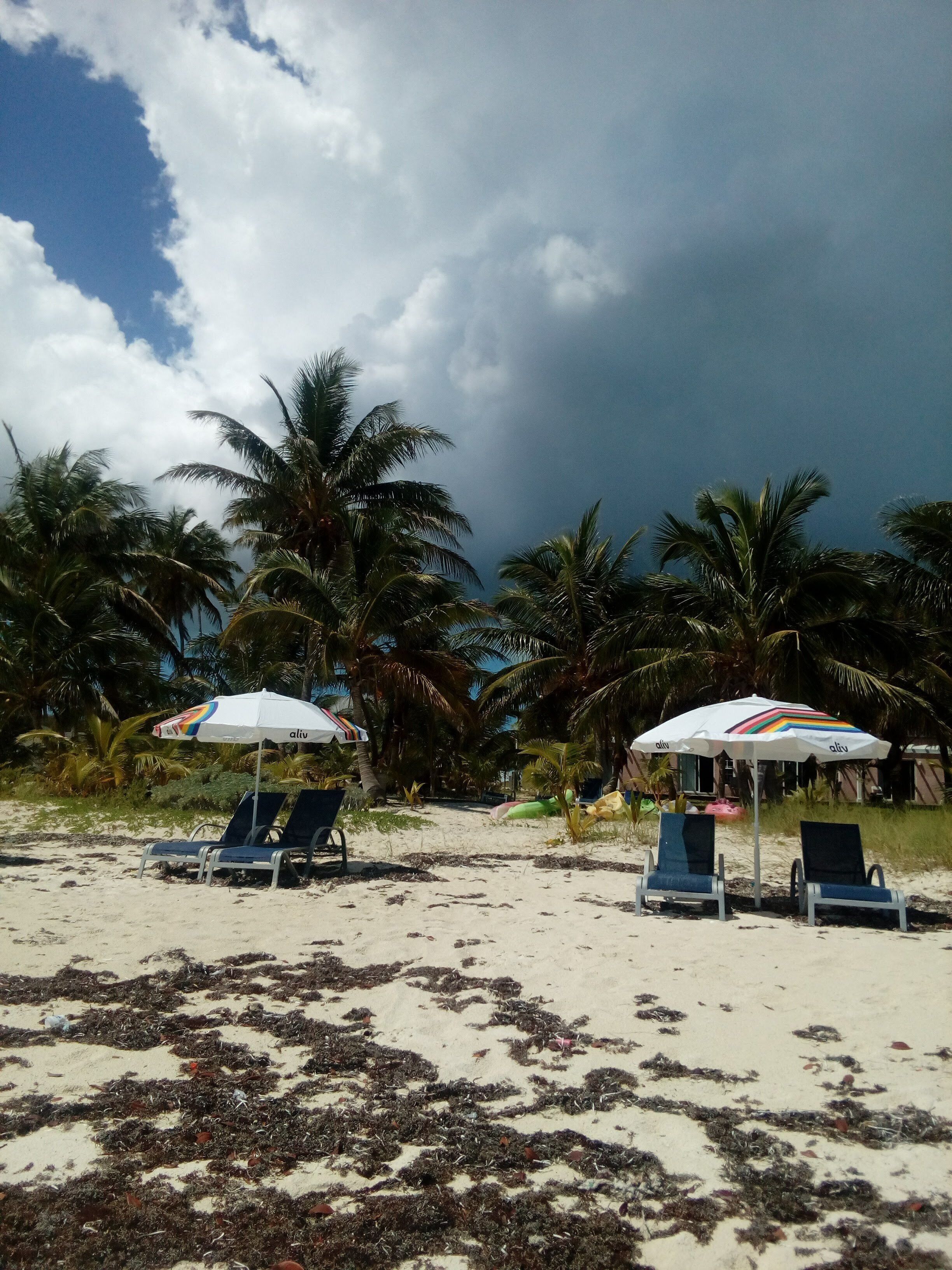 Una playa con dos sillas de playa bajo sombrillas, palmeras y un sendero arenoso.