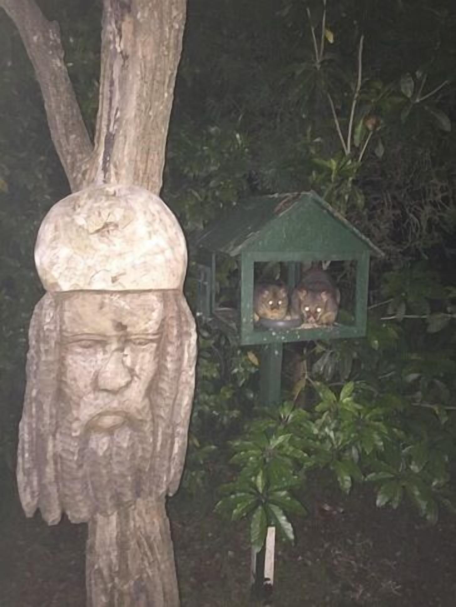 Kookaburra Retreat - Berowra Heights — image 20