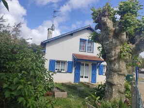 Exterior - House / Villa - Ondres (Ondres)