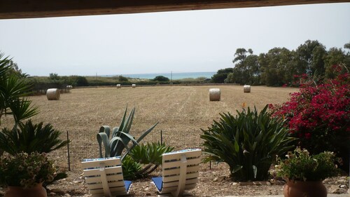 Maison / villa - SampieriMaison avec jardin