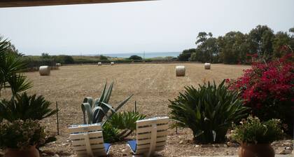 Maison / villa - SampieriMaison avec jardin