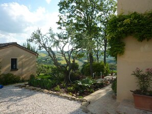 Jardines del alojamiento