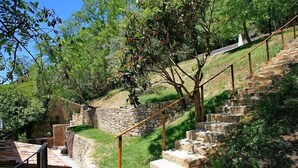 Un escalier en pierre avec une rampe en bois mène vers le haut d’une pente herbeuse, entourée d’arbres et d’un mur de pierre.