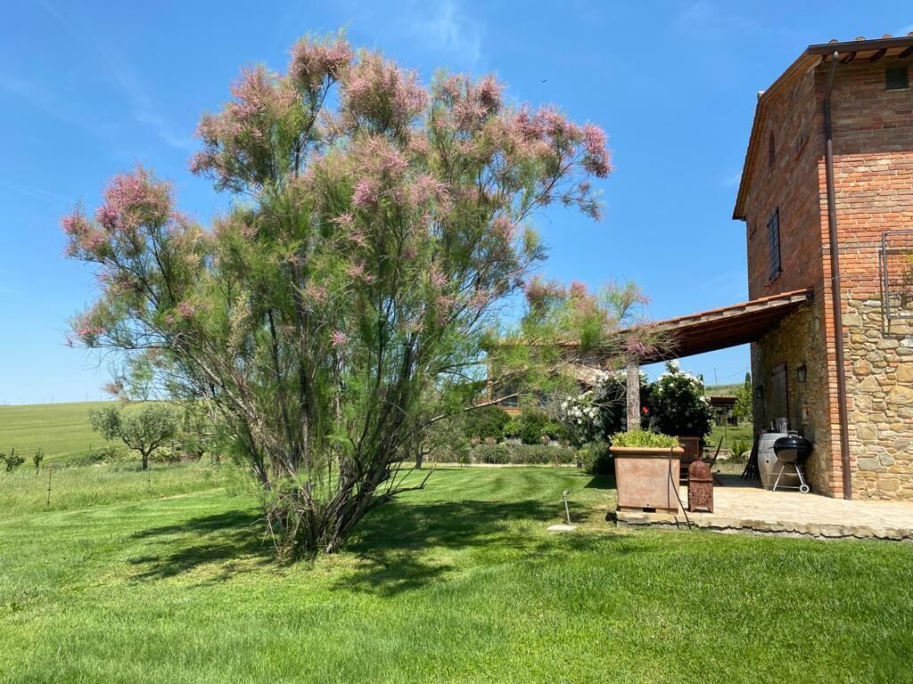 A rustic stone building with a covered patio, a well-maintained lawn, and a flowering tree.