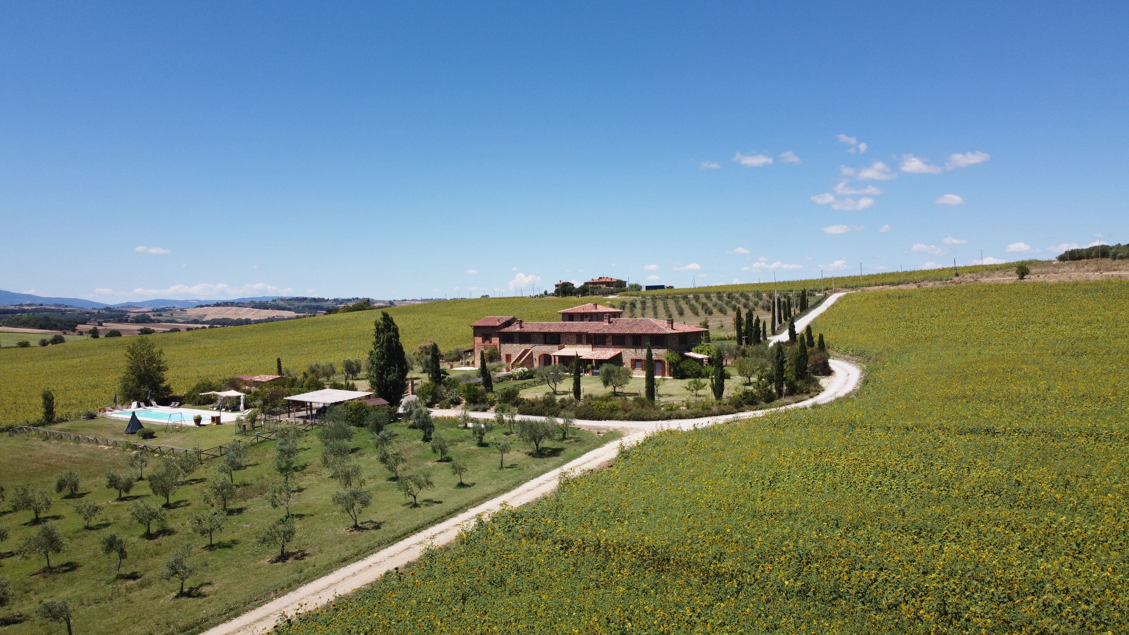 Un viñedo amb un edifici gran envoltat de files de vid.
