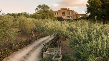 Parco della struttura