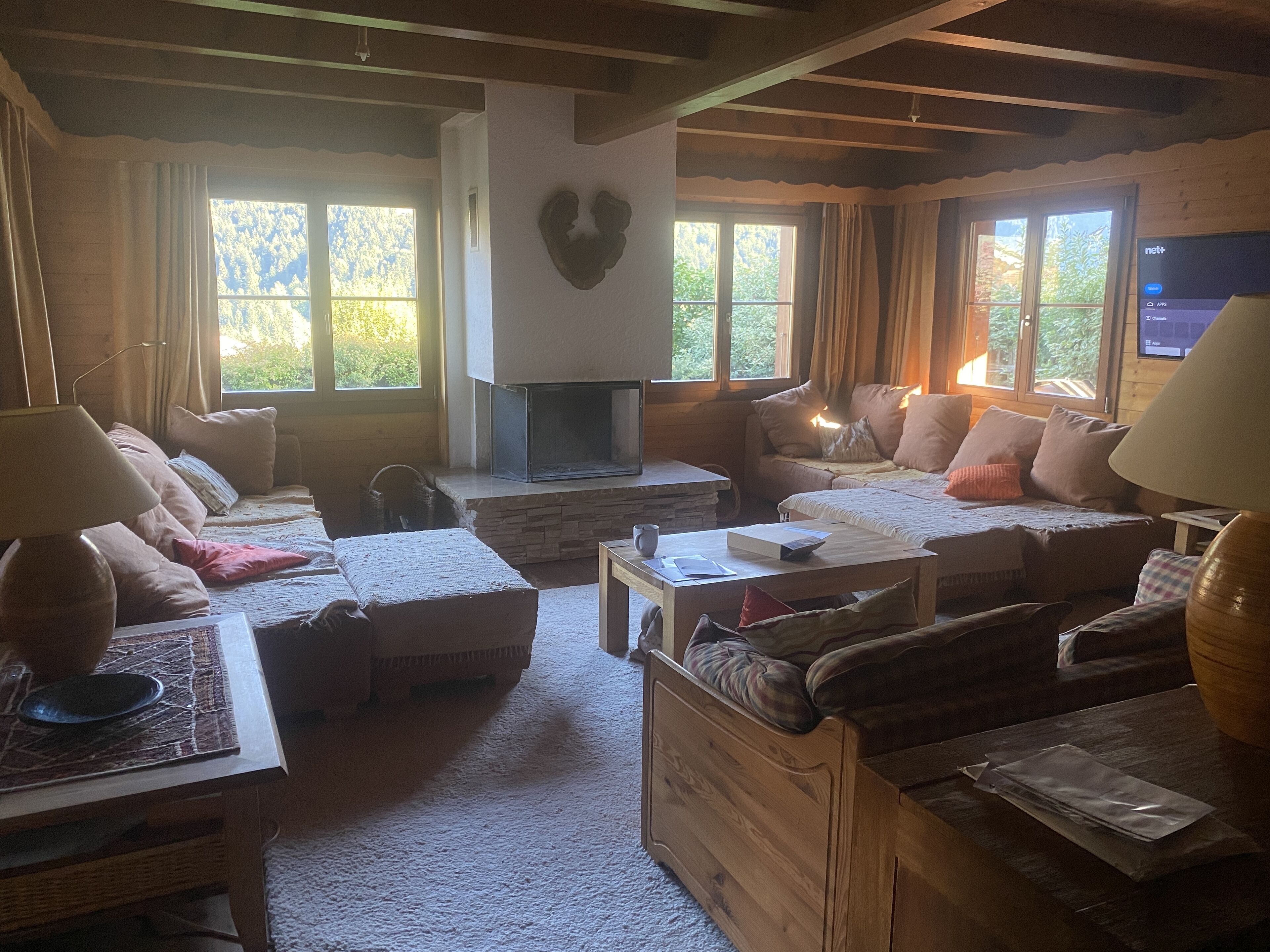 智能电视、壁炉、DVD 播放器、乒乓球