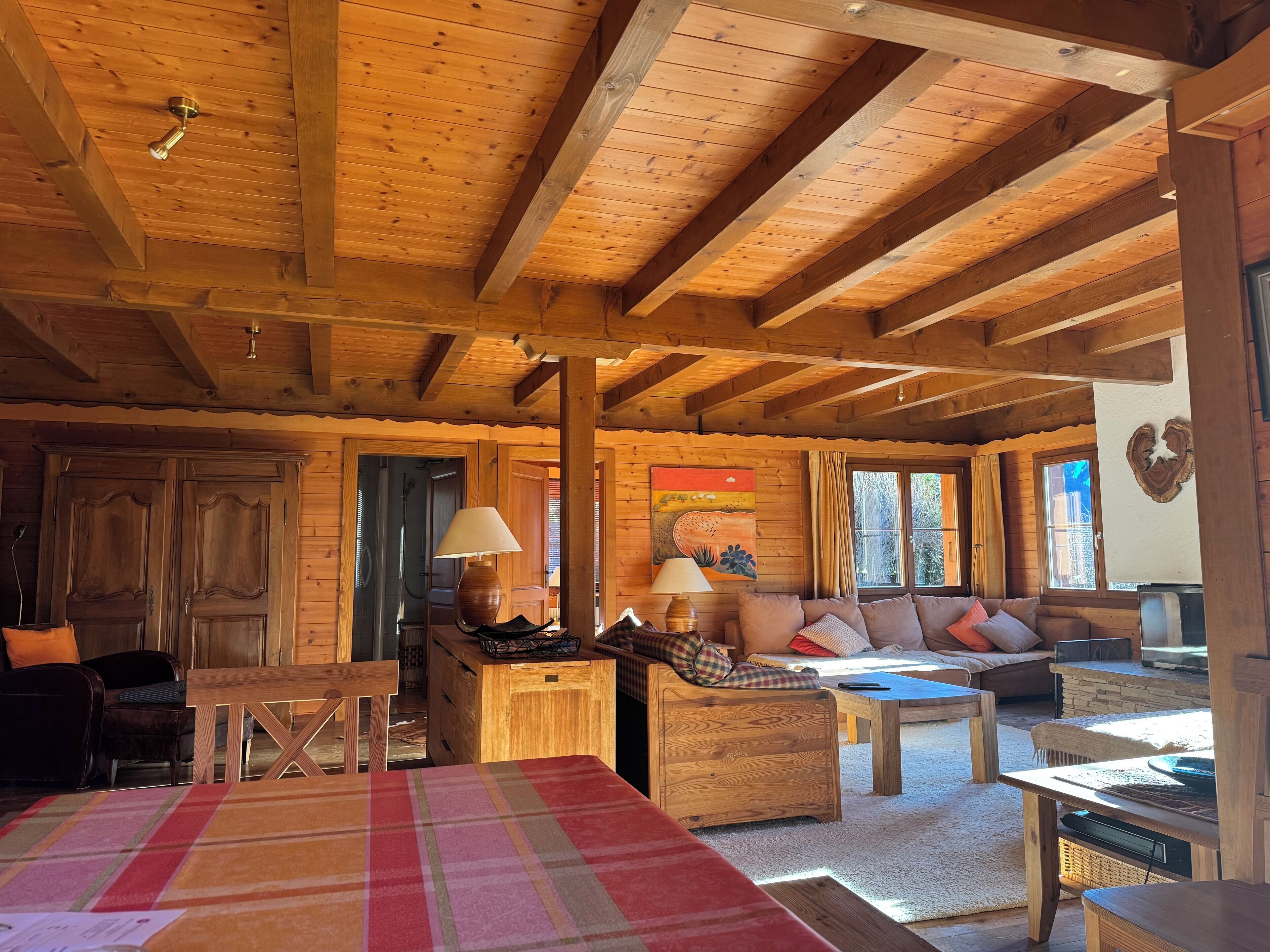 智能电视、壁炉、DVD 播放器、乒乓球