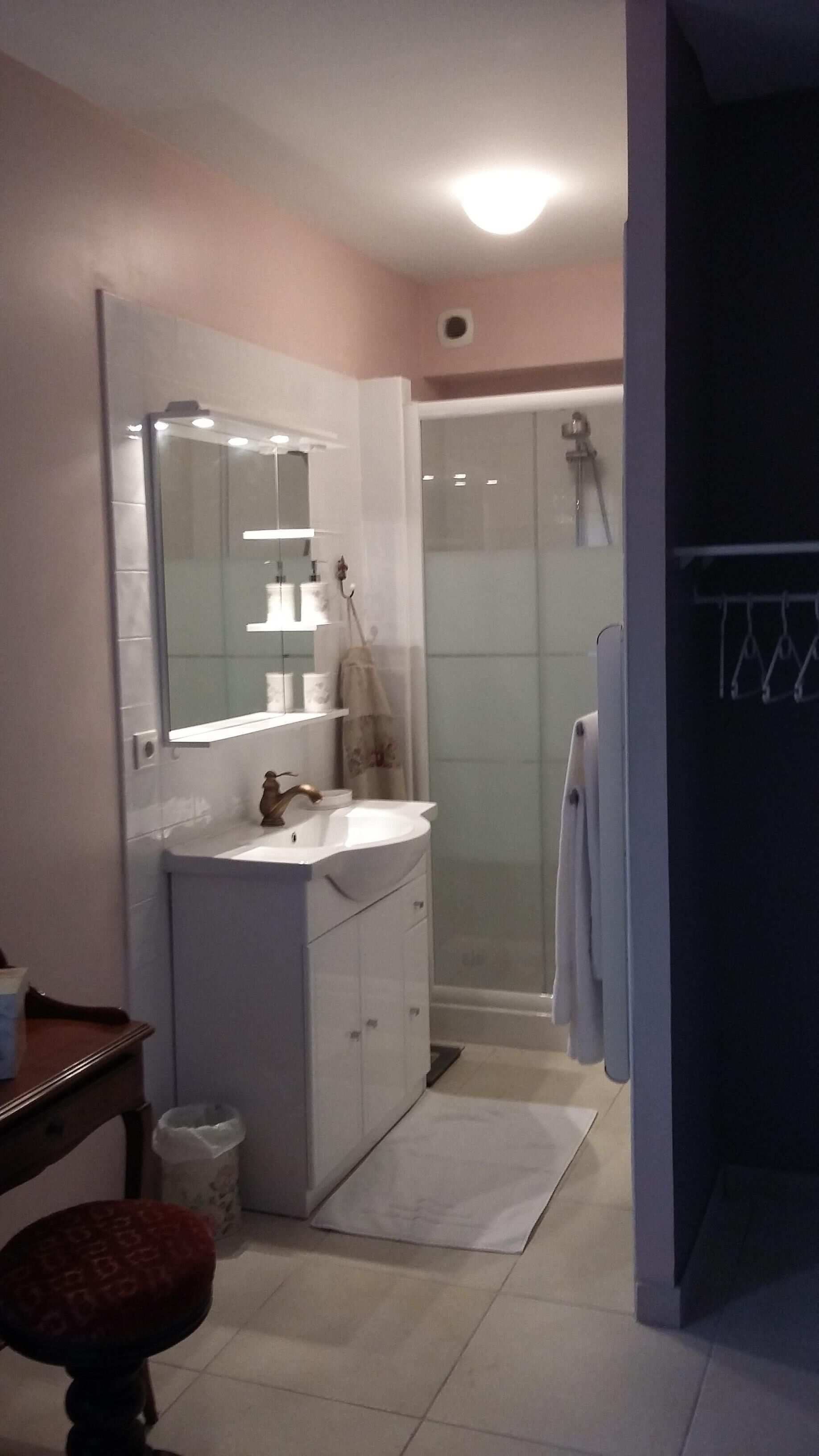 Un baño con tocador, espejo y zona de ducha.