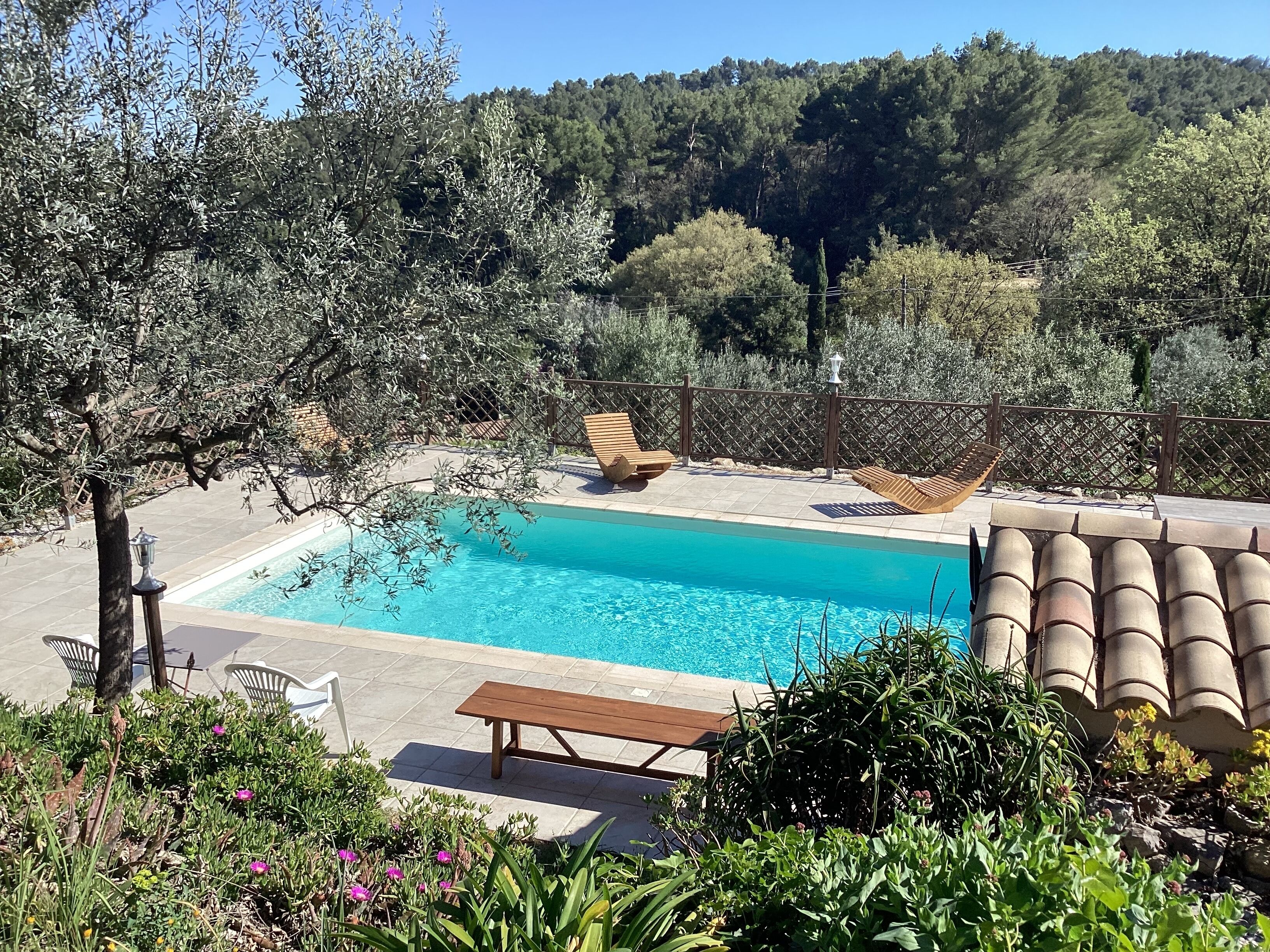 A swimming pool with lounge chairs, a wooden bench, and a garden area with various plants and flowers.