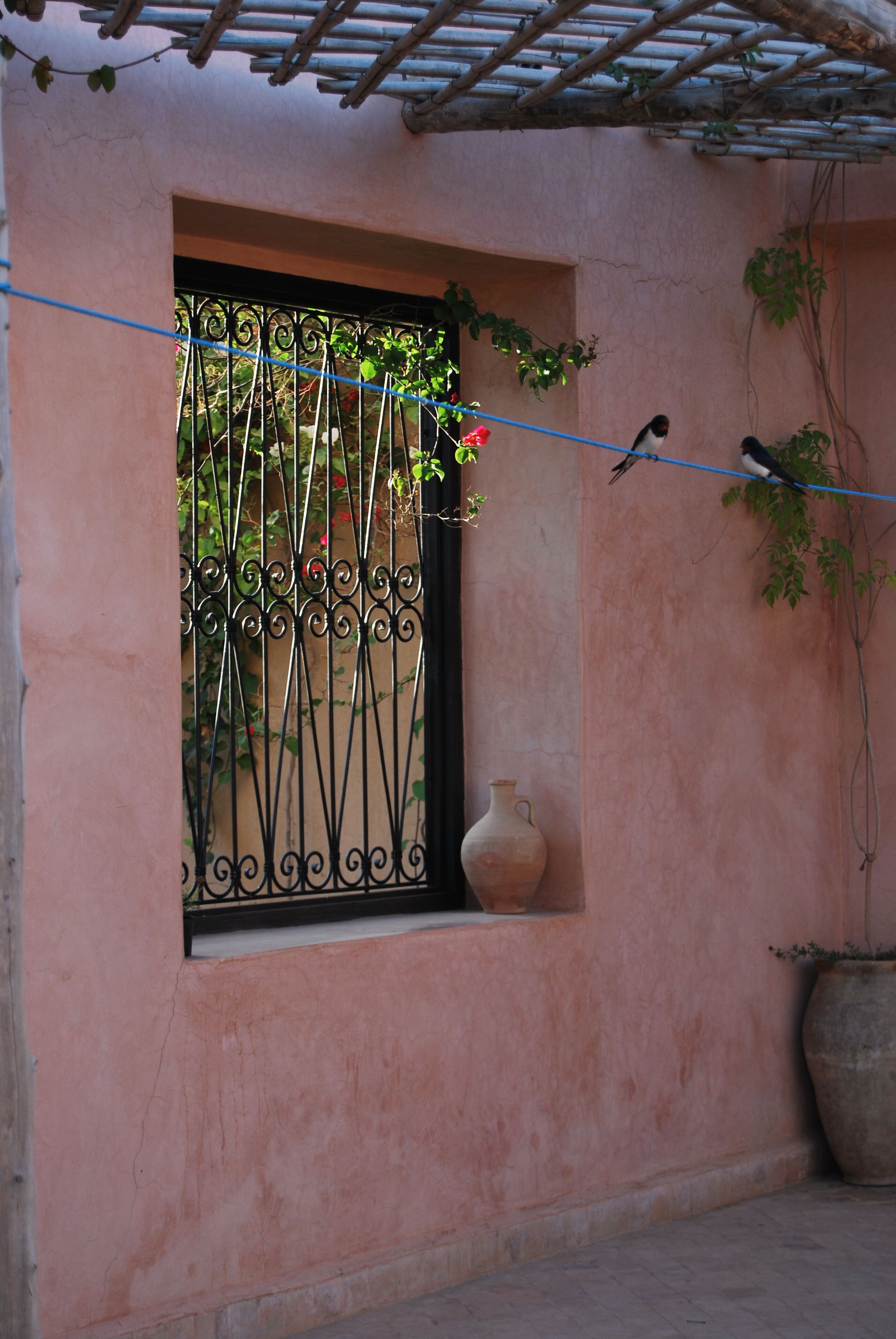 A pink building with a window, a black wrought iron gate, and a potted plant.