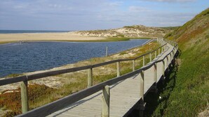 Une promenade en bois longe un sentier côtier, avec une plage de sable et des dunes en arrière-plan.