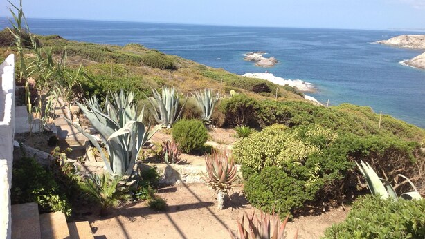 A coastal landscape with a view of the sea, featuring a variety of desert plants and a stone staircase leading down to the beach. - House / Villa - Sant'Antioco (Sant'Antioco)