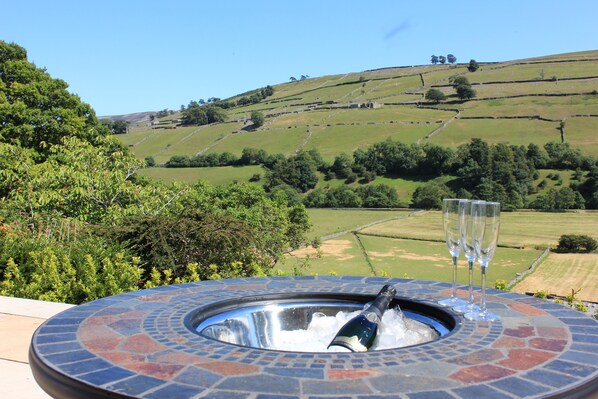 Property grounds - Large Georgian Country House, in rural location with great pubs and walks (Richmond)