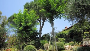 A garden with various trees, shrubs, and a stone structure. - L'ULIVETA DEL LUSCHI VILLA, PISCINA  E CAMPO DA TENNIS, WI-FI, PET FRIENDLY (ROSIGNANO MARITTIMO)