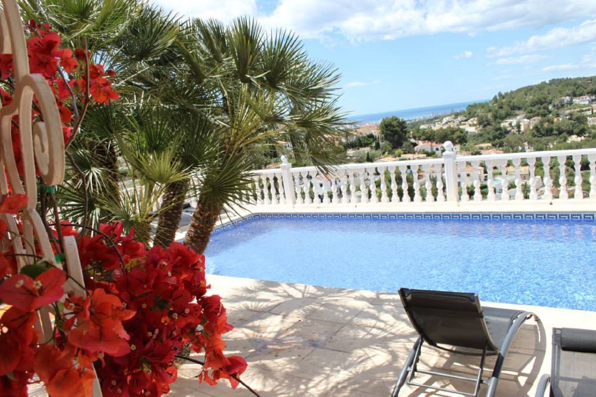 Une piscine bordée d’une balustrade blanche, entourée de palmiers et de fleurs rouges.
