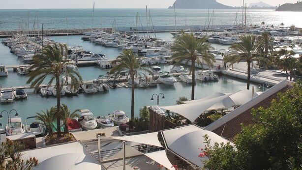 Un port de plaisance où sont amarrés de nombreux bateaux, avec des palmiers et une chaîne de montagnes en arrière-plan.