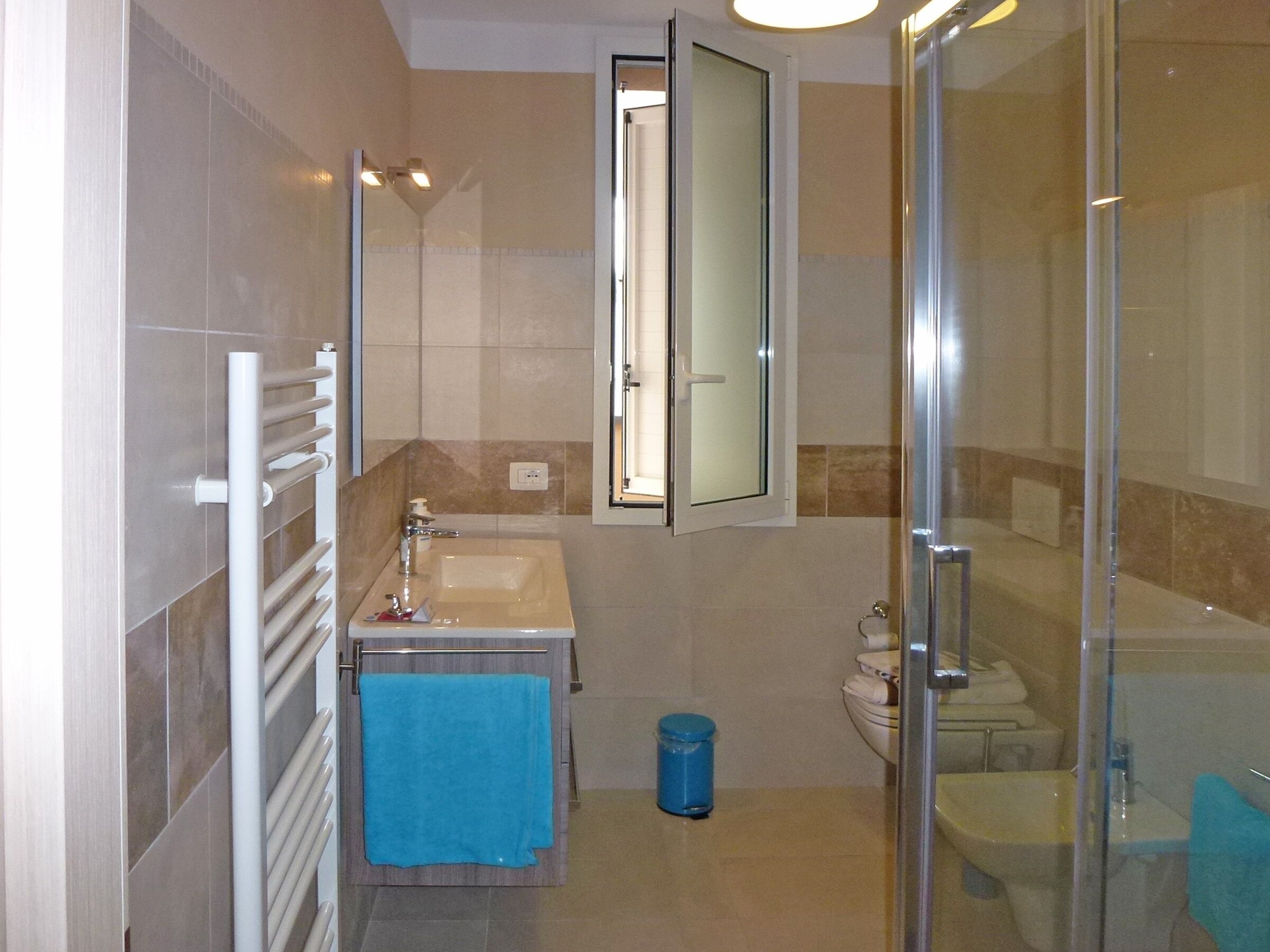 A modern bathroom with a glass shower enclosure, a white sink, and a mirror above the sink.