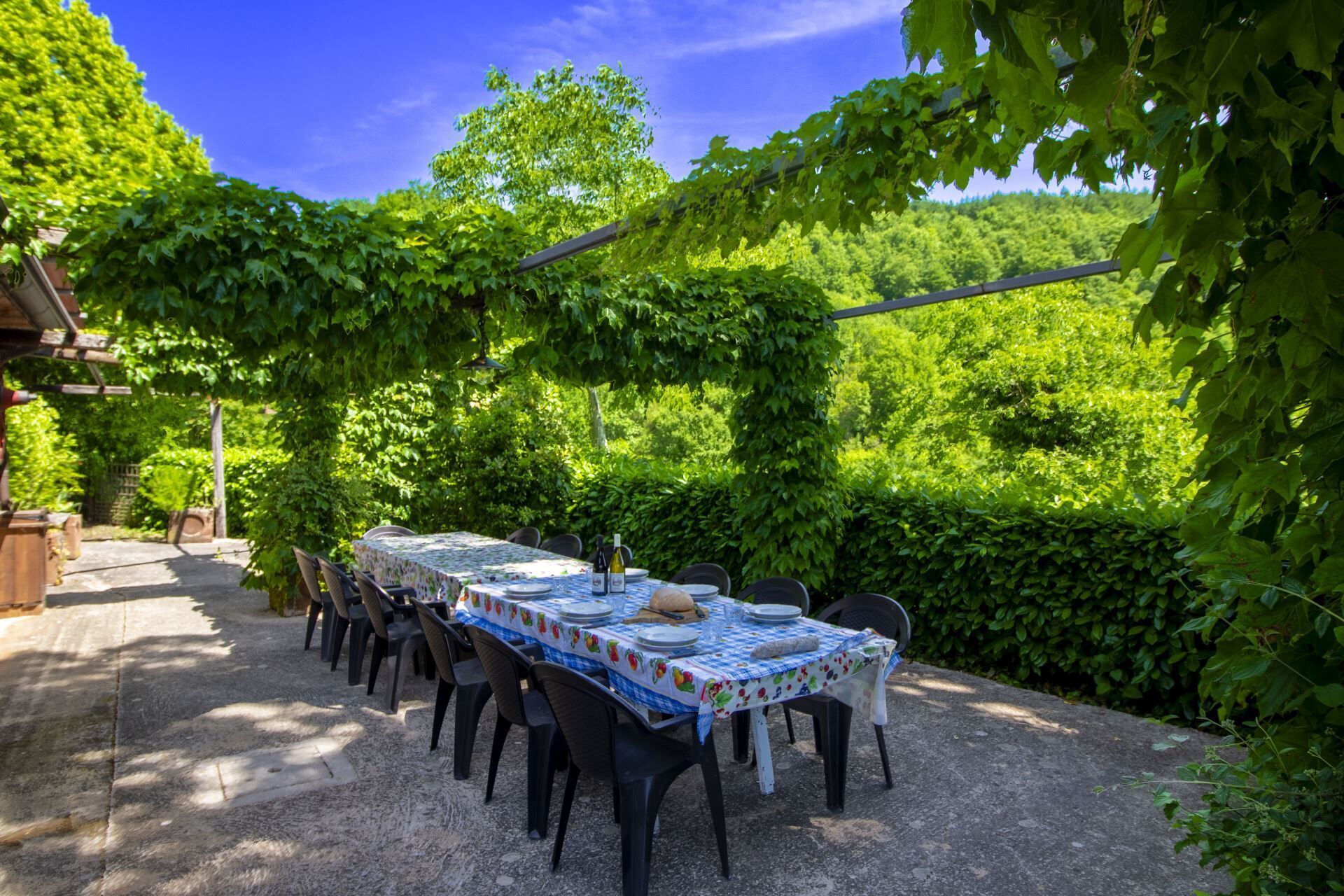 Un espace de restauration en plein air avec une table dressée pour quatre personnes, entouré de verdure et sous un ciel dégagé.