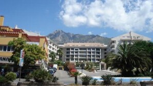 Un hôtel doté d’une piscine, entouré de palmiers et avec des montagnes en toile de fond.