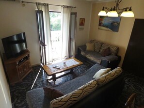 TV, fireplace, DVD player