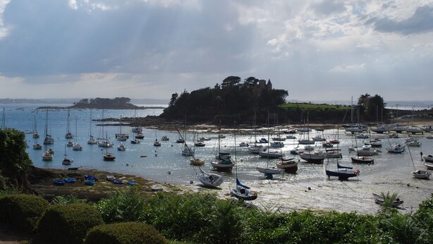 Un port où de nombreux bateaux sont amarrés, une petite île couverte d’arbres et un ciel dégagé.
