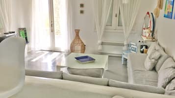 智能電視、壁爐、DVD 播放機、書籍