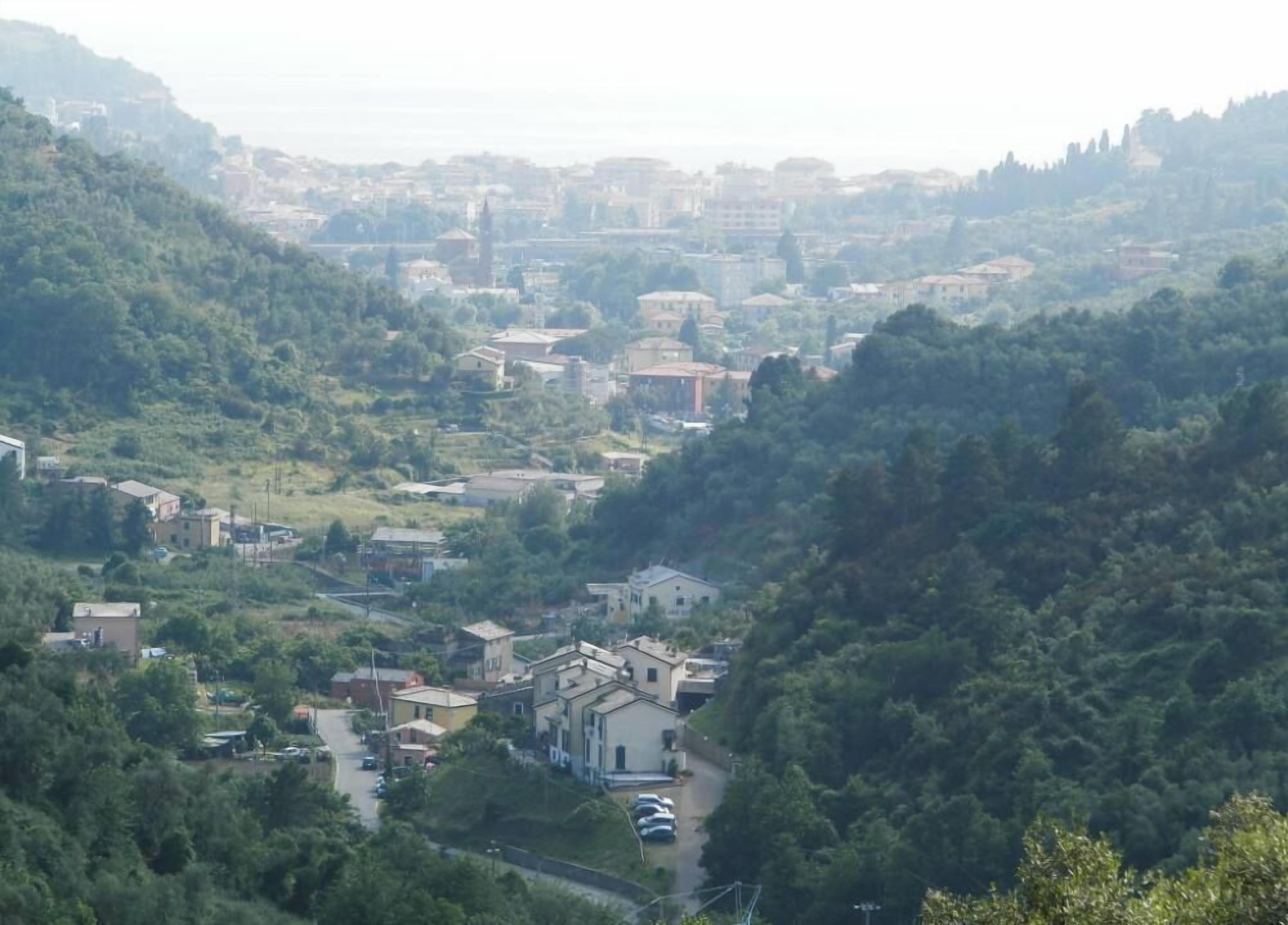 Eine Stadt an einem Hang, deren Häuser zwischen Bäumen liegen.