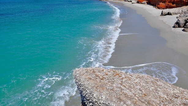 Una playa costera con aguas turquesas cristalinas, orilla arenosa y afloramientos rocosos.