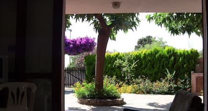 Manage Torre del Pozzo cottage 100m. from the sea-garden
