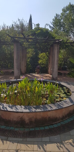 Un espace jardinier circulaire, avec une fontaine ou un autre élément aquatique au centre, entouré de plantes.
