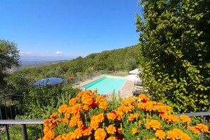 Pool - AGRITURISMO CASAVECCHIA - ALBANELLA (Castiglion Fibocchi)