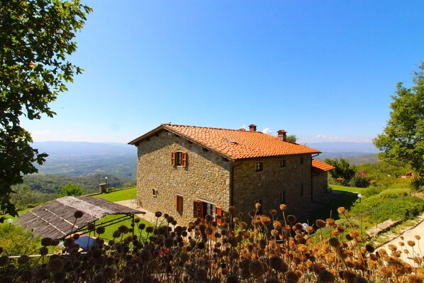 Exterior - AGRITURISMO CASAVECCHIA - ALBANELLA (Castiglion Fibocchi)