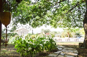 Terrein van de accommodatie