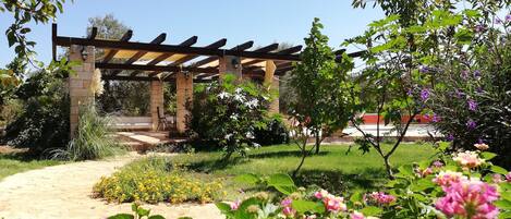 A garden with a pergola, flowering plants, and a pathway.