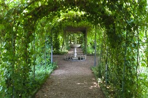 Un sendero conduce a un jardín con una fuente central, rodeado de follaje denso.