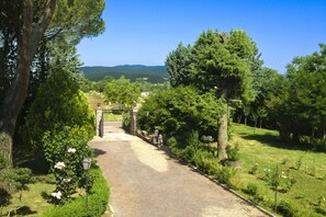 Un camino pavimentado que conduce a una entrada con puerta de hierro, rodeada de abundante vegetación y árboles.