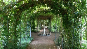 A garden pathway leading to a central fountain surrounded by lush greenery. - Charming historic villa near Arezzo, with private pool adorned with marble, centuries-old park, and (Arezzo)