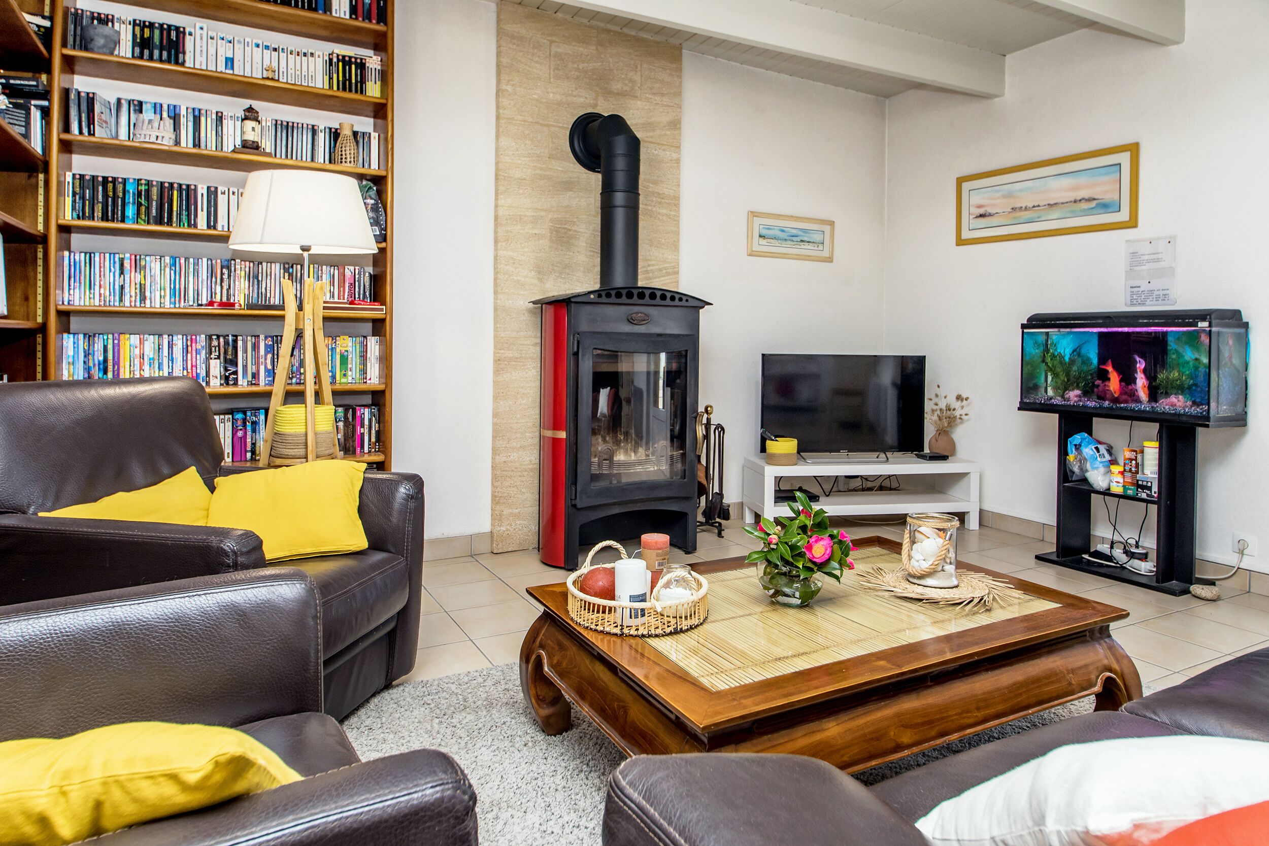 Télévision, cheminée, lecteur de DVD, livres