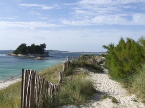 Un sentier de sable bordé d’une clôture en bois, qui mène à une petite île plantée d’arbres.